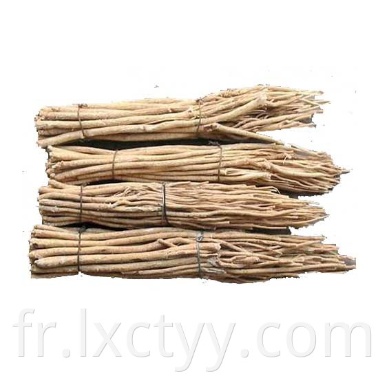 astragalus membranaceus extract tea